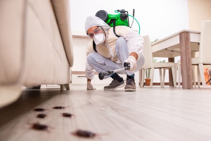 Emergency Pest Control Services